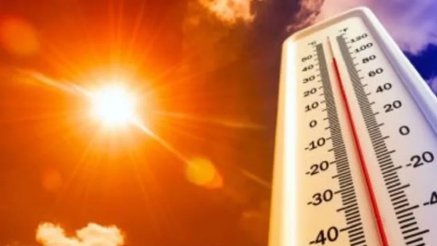 Heatwave.jpg
