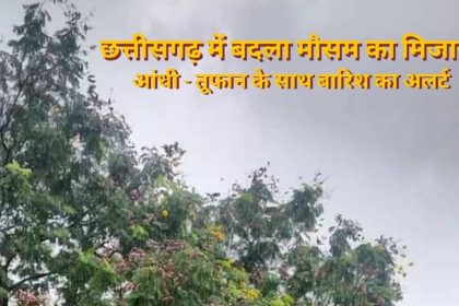 Mausam E1777721951594.jpg