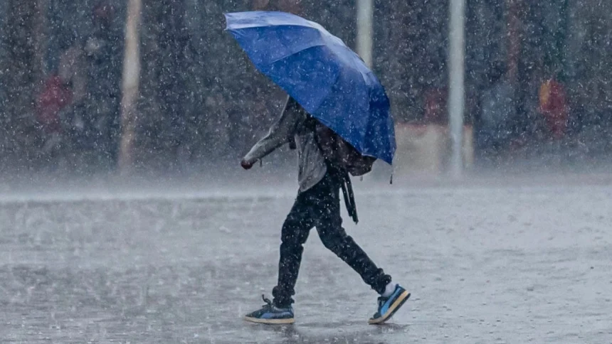 Rain 2.jpg