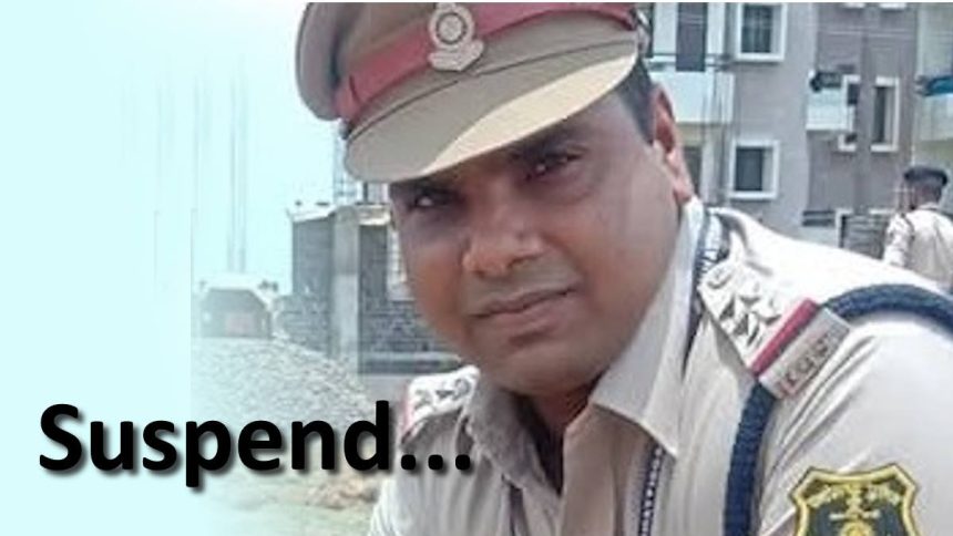 WhatsApp Image 2026 05 30 at 12.18.07 PM 1.jpeg