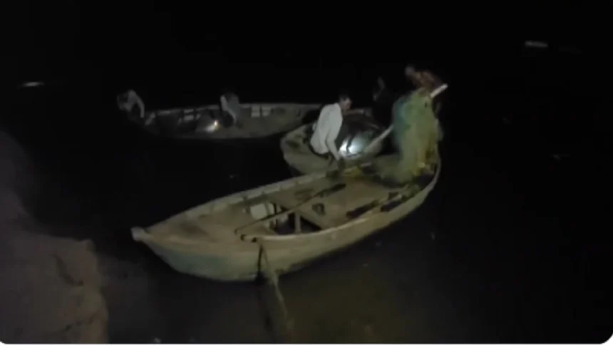 Hamirpur boat .jpg