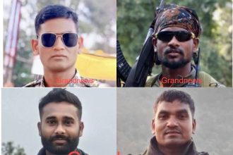 Jawan.jpeg