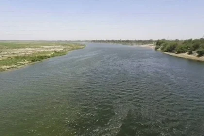 News image 177962342724 05 2026 17 20 27.webp.webp